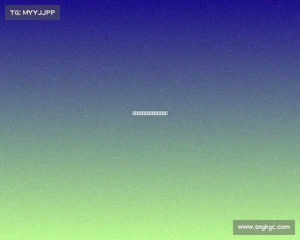 法国秘鲁赛事焦点对决精彩纷呈