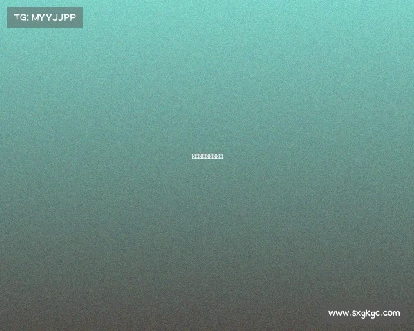 足球有那些赛事比赛